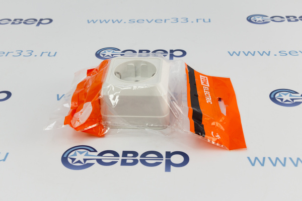 Розетка TDM Ладога 2П+3 оу 16А IP20 белая_2