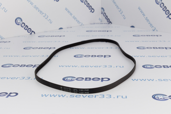 Ремень 1181H7EL_2