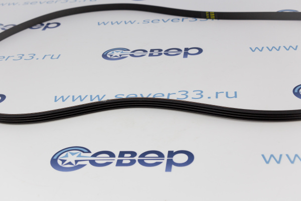 Ремень 1265J4 EL 059560_2