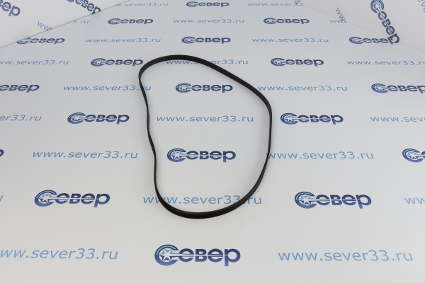 Ремень 1105Н7EL(116LG303)(C00057935)_2