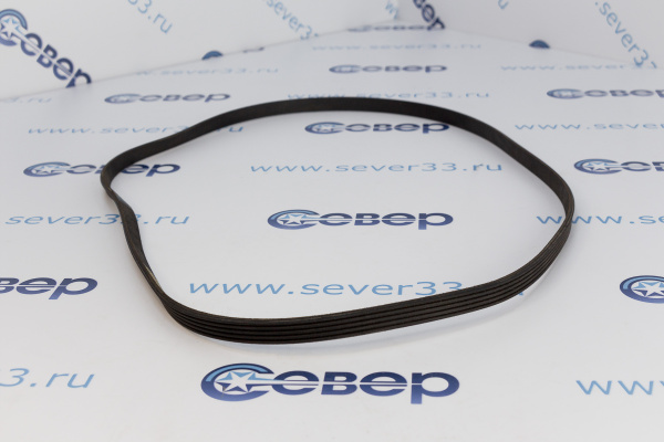 Ремень 1118 J5 EL 11101202_2