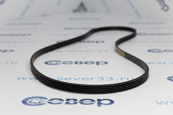 Ремень 1210J5PUR (1500047) 11100068_2