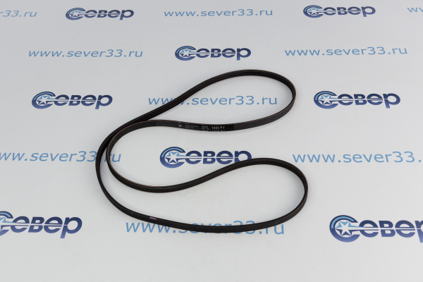 Ремень 1222J4PUR (AV0995) 11103801_2