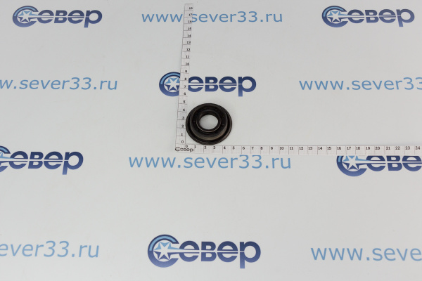 Сальник бака 22x4051x812 (2017024) 10702912_3