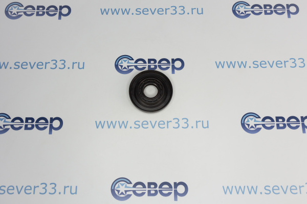 Сальник бака 22x4066x8114.5 ZN1006_1