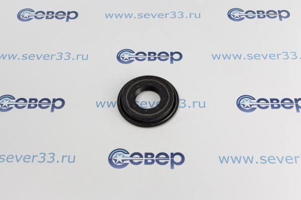 Сальник бака 40.2x8095x1015 (20170) 10702915_2