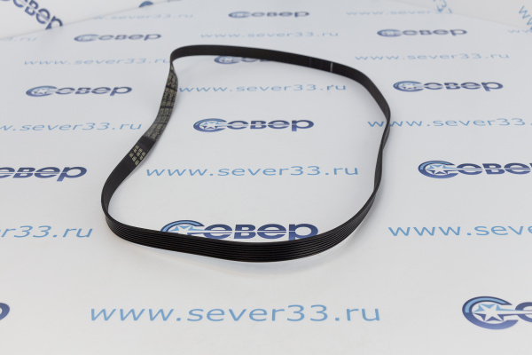 Ремень 1160H8 (908092003033, 908092003041, 908092003000)_2