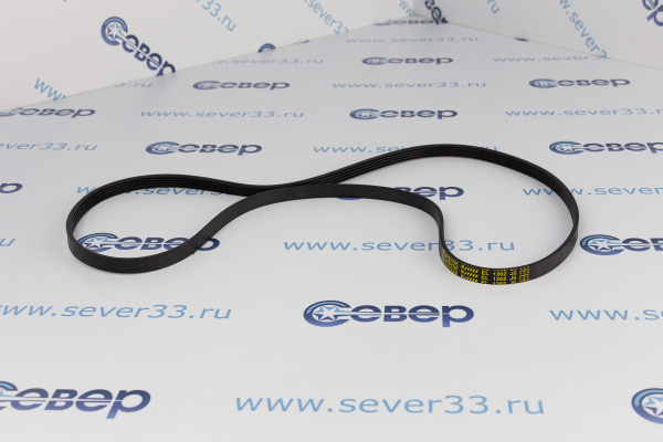 Ремень 1262 J5 MEGADYNE BLJ543UN_2