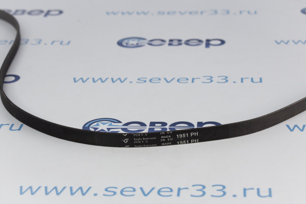 Ремень 1951Н7_2