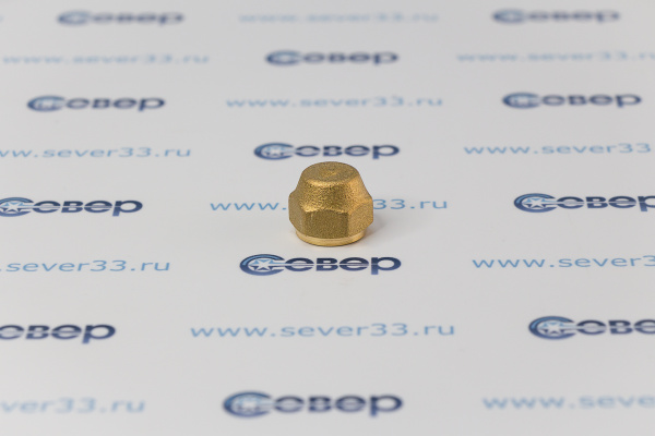 Гайка-заглушка(внутр.резьба) 1_4 N5-04_2