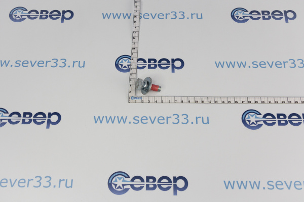 Болт крепления шкива 6011-001498 (SAMSUNG) M10 (DC97-06080E_2