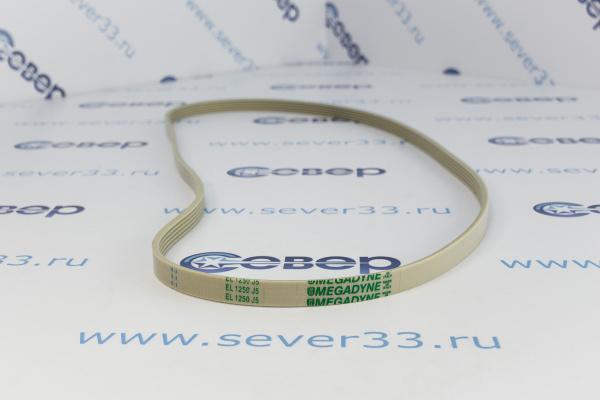 Ремень 1250J5 EL (белый)_1