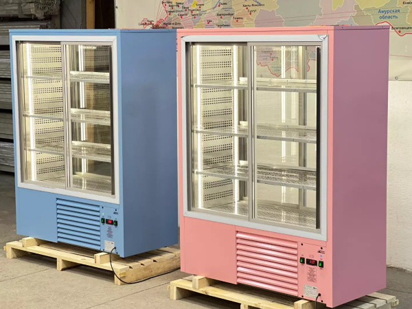 РЕГИНА XL_дв_3