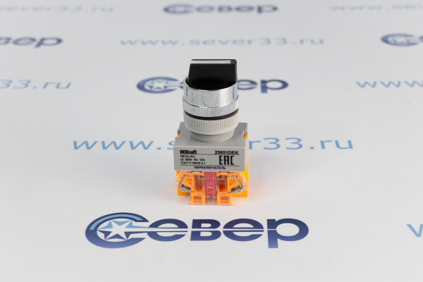 Переключатель DEKraft 2505 DEK на 2 фикс положения (1НО-1НЗ)_3