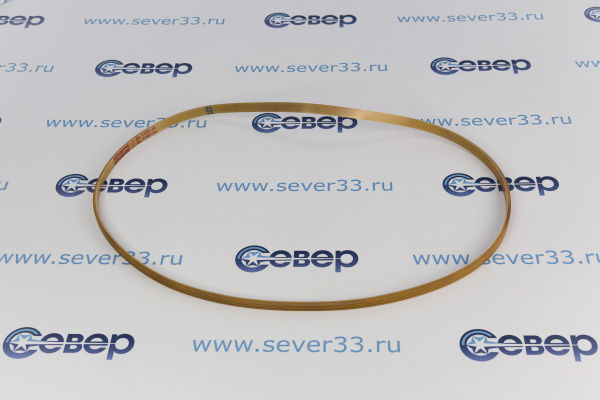 Ремень 1105J4 PUR 11101002_3