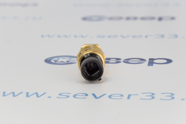 Датчик давления Dixell PP30 2,0MT PVC KLR 0+30 BAR REL FE 4...20mA_3