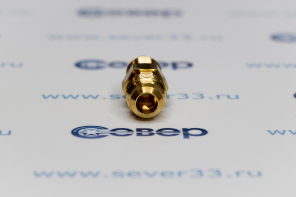 Шредер SAE 1_4-NPT 1_8 (Италия)_3