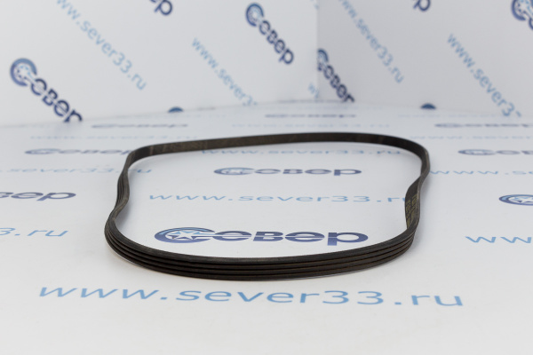 Ремень 1079 J4 EL 11101102_3