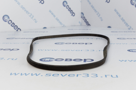 Ремень 1079 J4 EL 11101102 | Продажа, монтаж и обслуживание холодильного оборудования | Север33