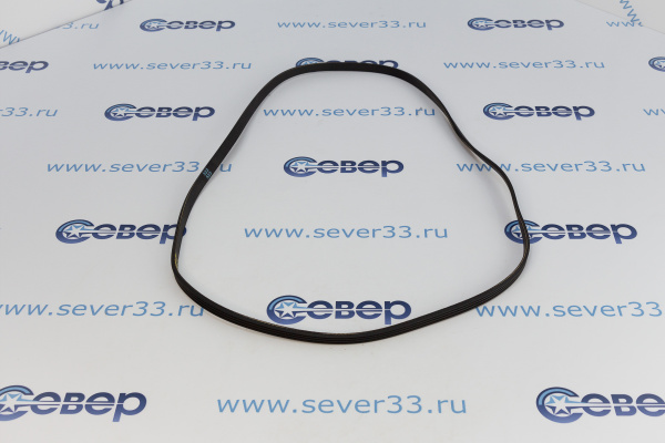 Ремень 1100 J4 PUR (116LG237) 11100013_2