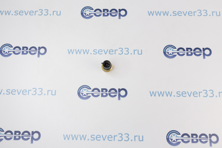 Датчик давления "Dixell" PPR35S (0 .. 34.5 бар) выс. давление | Продажа, монтаж и обслуживание холодильного оборудования | Север33