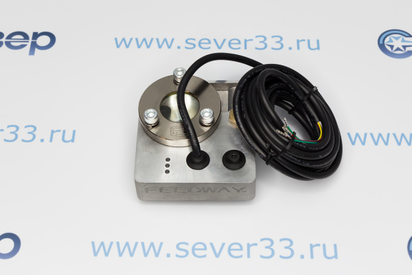 FP-ELS2 Датчик уровня_2ed