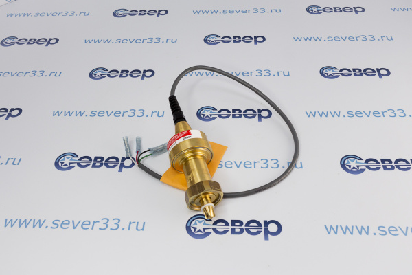 Электродвигатель KS-SEI-50 (958124)_2