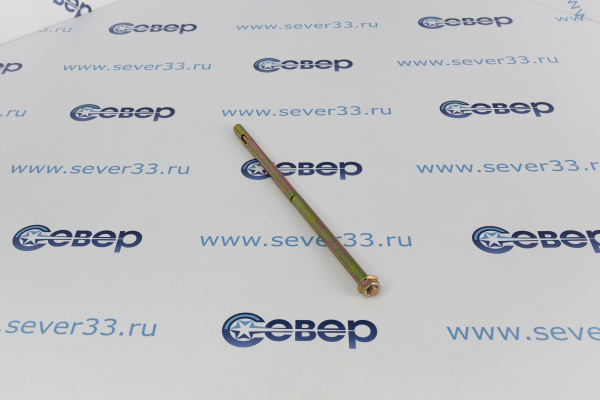 Анкерный болт с 6-ти гр.гайкой 10х250_2