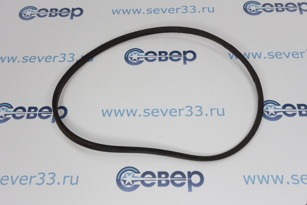 Ремень Z 800_2