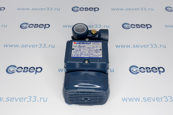 Насос PQm 60 Pedrollo_4