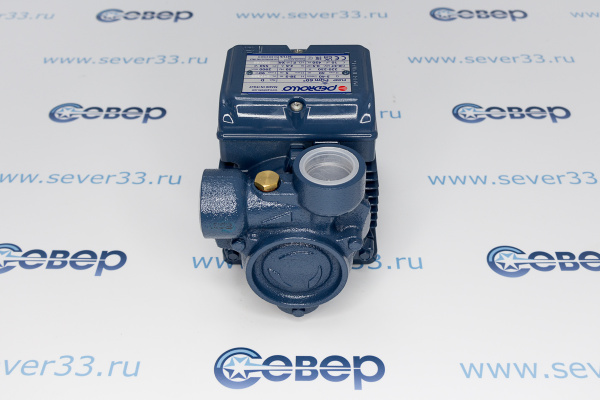 Насос PQm 60 Pedrollo_1