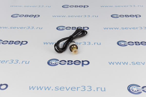 Реле давления картриджное Ридан типа ACB (1316 бар) под гайку SPST-NO_2