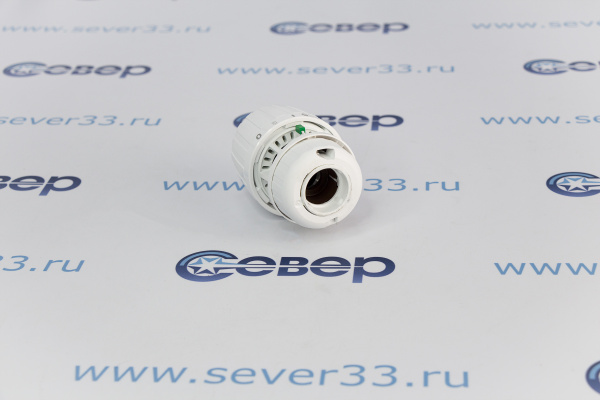 013G7091 RTR 7091 Термостатический элемент_3