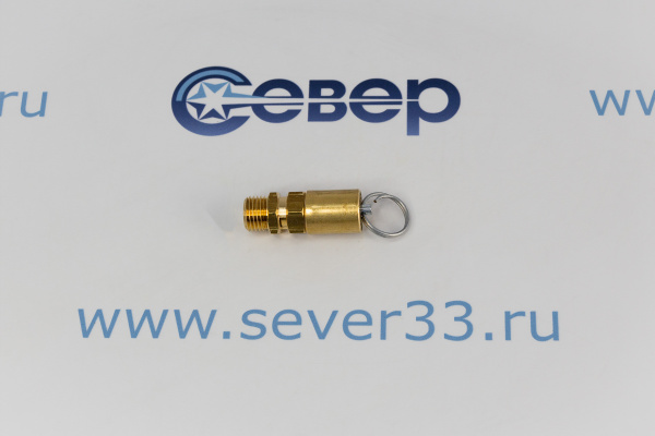 Предохранительный клапан 2202721502_1