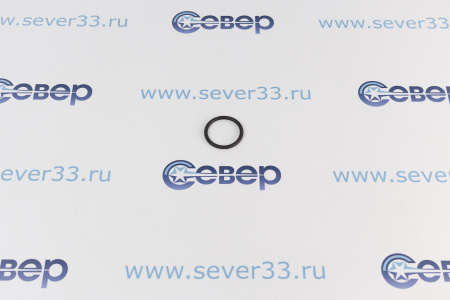 Термекс Резиновое кольцо погружной гильзы ER 200-300л (22) (SpT068999) | Продажа, монтаж и обслуживание холодильного оборудования | Север33