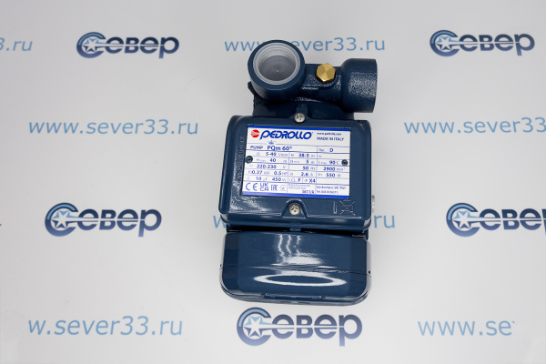 Насос PQm 60 Pedrollo_3