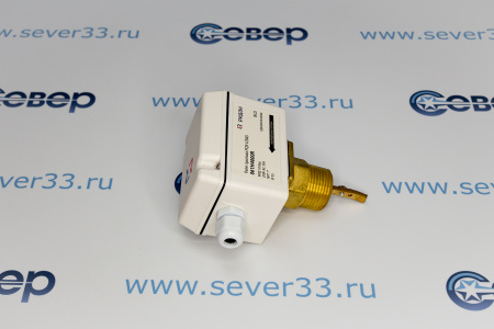 Реле протока Ридан FQS-U30G | Продажа, монтаж и обслуживание холодильного оборудования | Север33