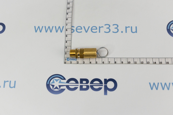Предохранительный клапан 2202721502_4