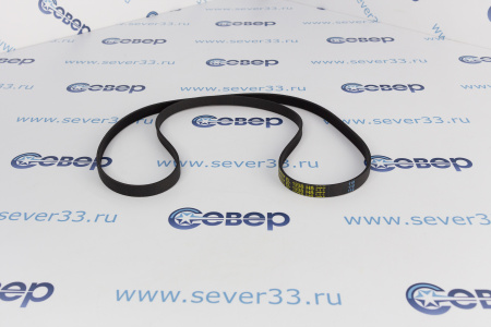 Ремень 1238 H8 EL черный | Продажа, монтаж и обслуживание холодильного оборудования | Север33