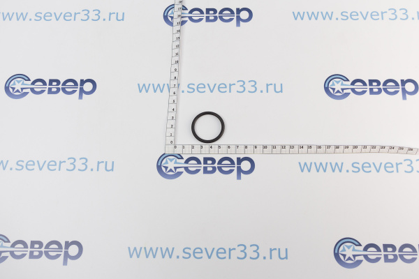 Термекс Резиновое кольцо погружной гильзы ER 200-300л (22)_2