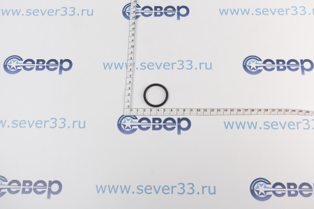 Термекс Резиновое кольцо погружной гильзы ER 200-300л (22) (SpT068999) | Продажа, монтаж и обслуживание холодильного оборудования | Север33