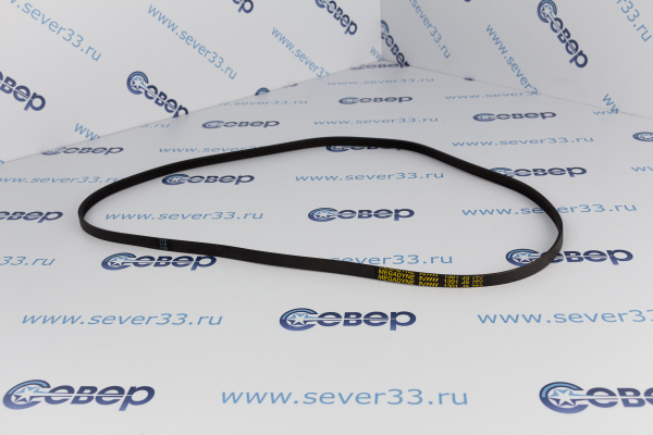 Ремень 1301J5PUR (AV09112) 11100076_2