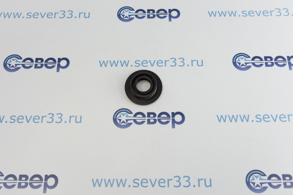 Сальник бака 25x4259x10,215,5 10700305_1