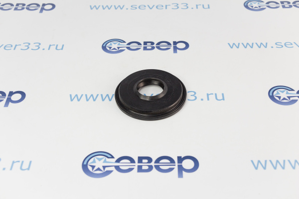 Сальник бака 30x5580x1013 (113SG00)(SG1001) 10702000_1