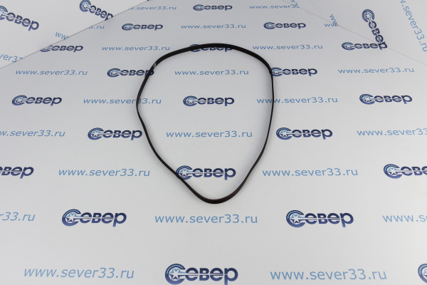 Ремень 1228Н7_2