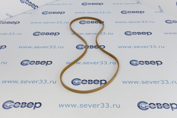 Ремень 1248J4EL Ariston (AV0965) 11102202_2