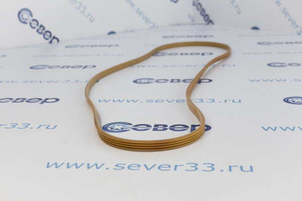 Ремень 1248J4EL Ariston (AV0965) 11102202_3