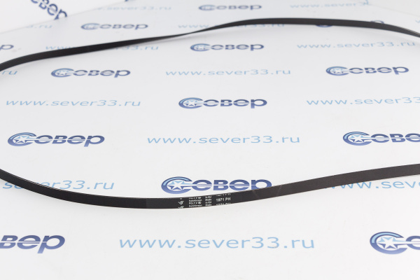 Ремень 1971H7 Electrolux 1366033007 Оригинал_2