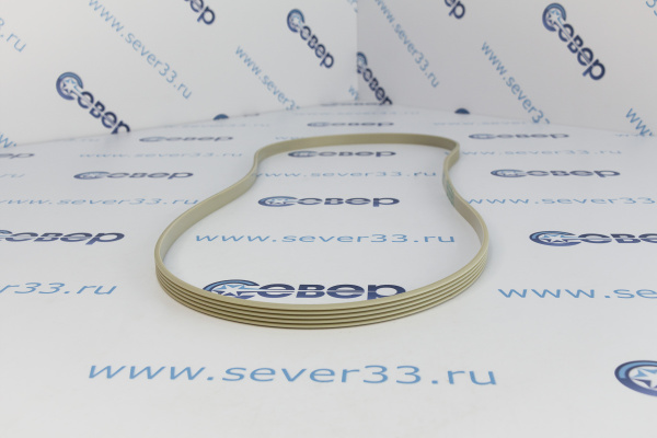 Ремень 1250J5 EL (белый)_3