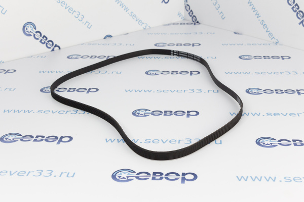 Ремень 1258 H8_2